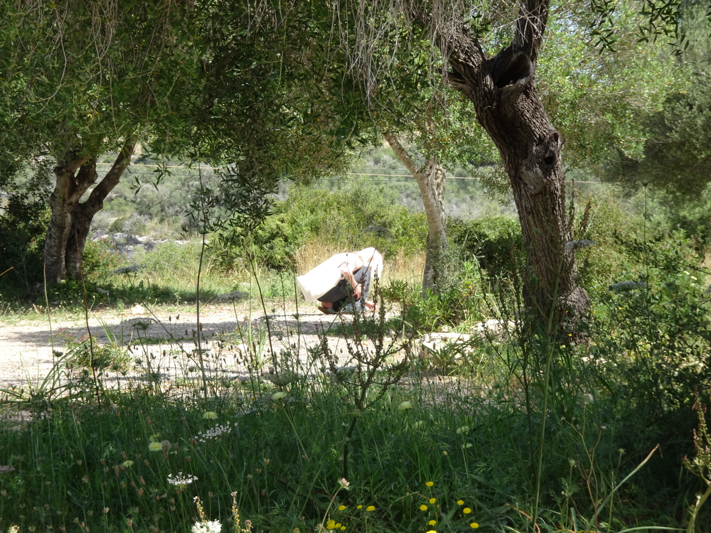 Earth Explorers — photo 5