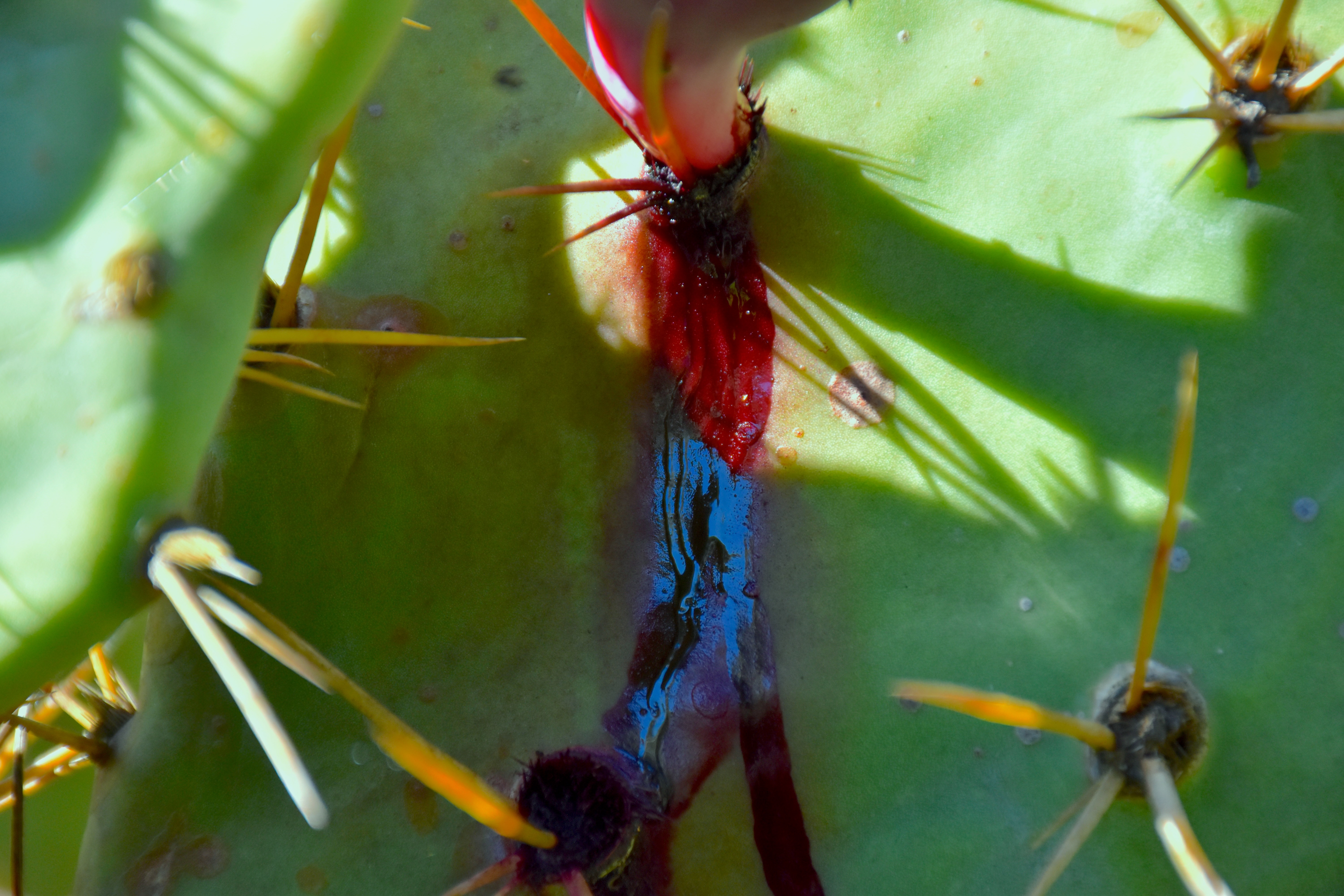 Poesía Visual — photo 14